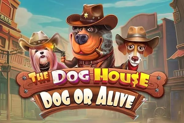 Gambling review site - The Dog House Megaways