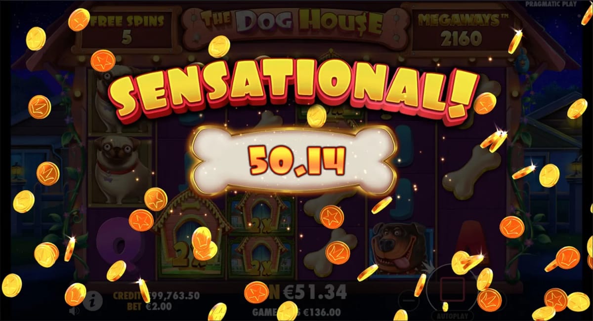 Gambling review site - The Dog House Megaways