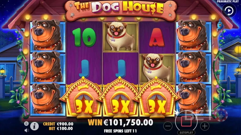 Gambling review site - The Dog House Megaways